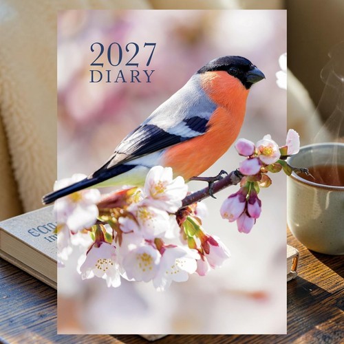 2027 diary age charity - diary,